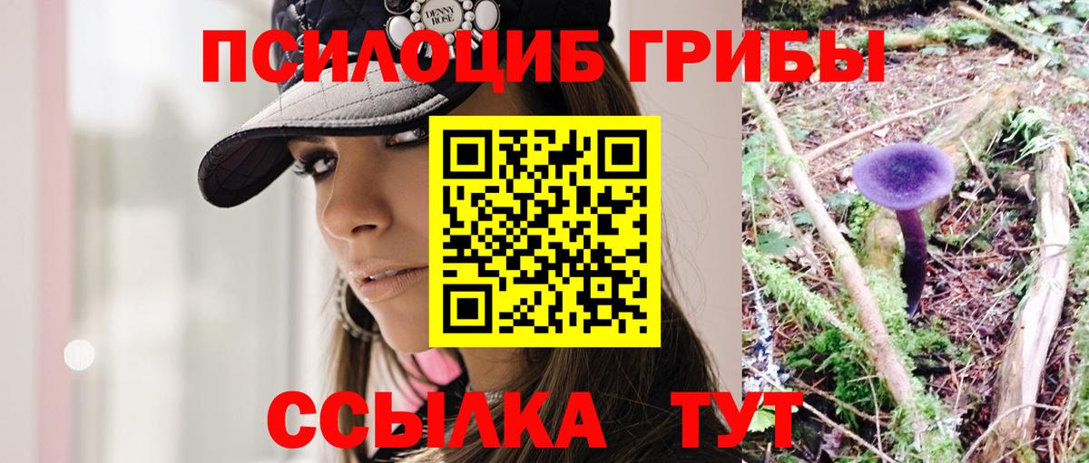 Тамбов  купить  сайты  Вход с VPN  Псилоцибиновые грибы ЛСД  Галлюциногенные грибы Cubensis 