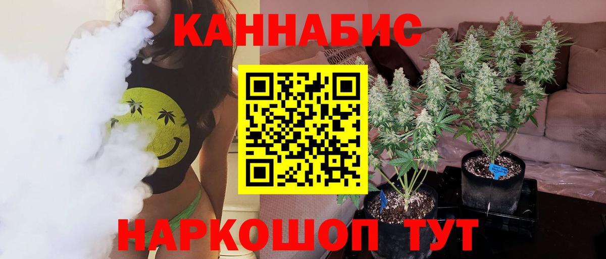 Бошки Шишки план  Бошки Шишки SATIVA & INDICA  Вход с VPN  Тамбов  Конопля Ganja 